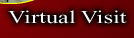 Virtual Visit