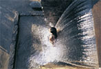 Le terme