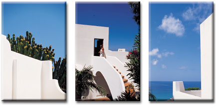 hotels Ischia, hotel Ischia, offerte ischia alberghi ischia, last minute albergo ischia, elenco alberghi ischia, terme ischia, hotel forio, hotels forio, alberghi forio, last minute forio, offerte forio, terme forio 